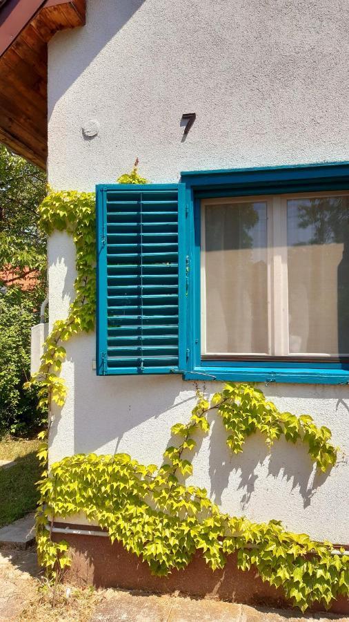 Szalakota Haz Villa Balatongyorok Luaran gambar