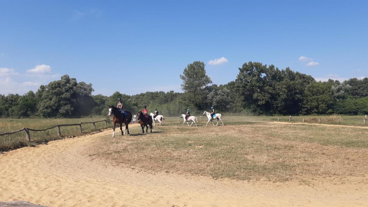 Szalakota Haz Villa Balatongyorok Luaran gambar